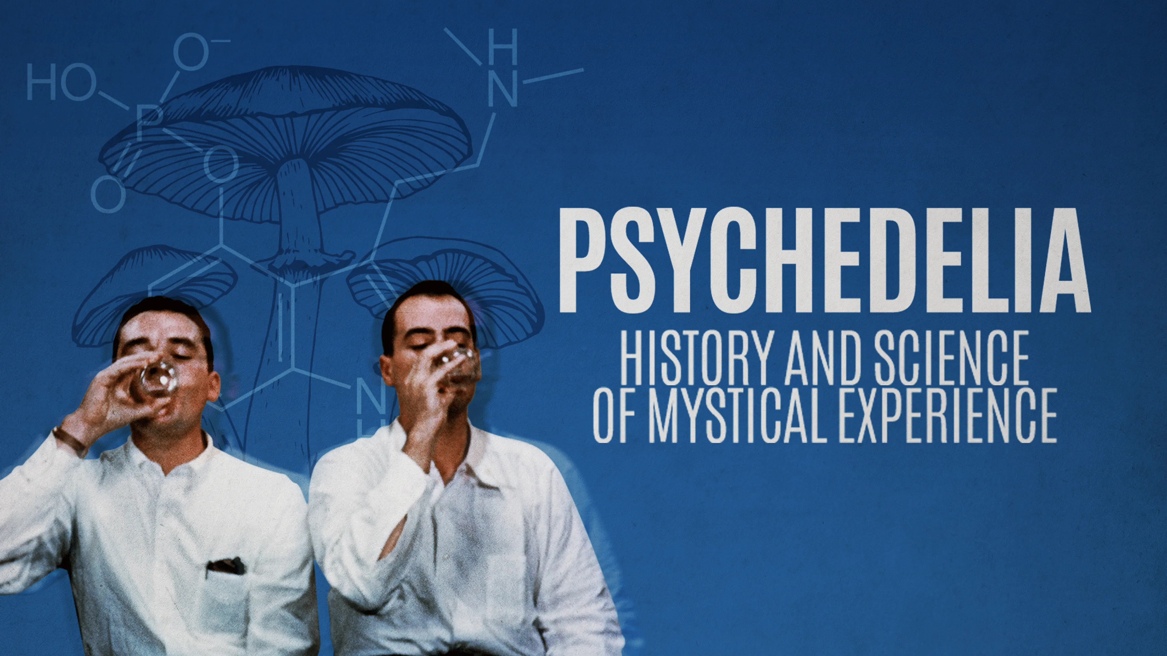 Psychedelia: History and Science of Mystical Experience poster